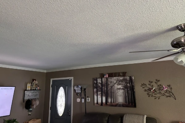 Professional handyman services